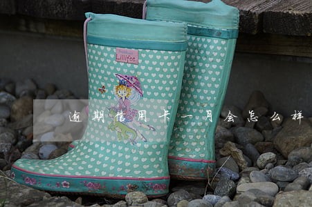逾期信用卡一月会怎么样 逾期信用卡一月会怎么样