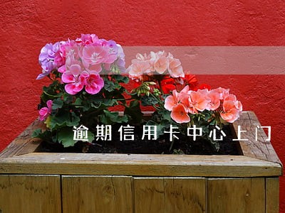 逾期信用卡中心上门