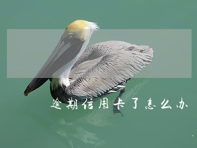 逾期信用卡了怎么办 逾期信用卡了怎么办