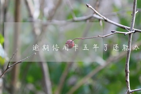 逾期信用卡五年了还能办 逾期信用卡五年了还能办