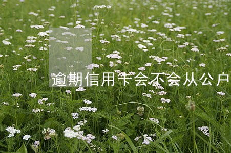逾期信用卡会不会从公户扣款