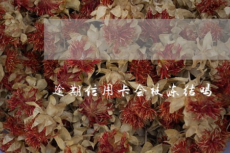 逾期信用卡会被冻结吗