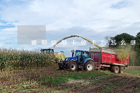 逾期信用卡停卡后怎么继续使用 逾期信用卡停卡后怎么继续使用
