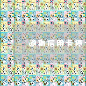 逾期信用卡停卡怎么办 逾期信用卡停卡怎么办