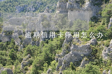 逾期信用卡停用怎么办 逾期信用卡停用怎么办