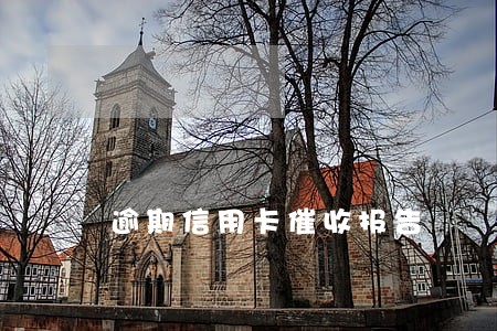 逾期信用卡催收报告 逾期信用卡催收报告