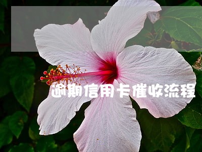 逾期信用卡催收流程 逾期信用卡催收流程