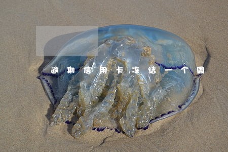 逾期信用卡冻结一个周 逾期信用卡冻结一个周