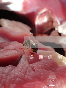逾期信用卡几千块 逾期信用卡几千块