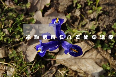 逾期信用卡几天能申请停息挂账 逾期信用卡几天能申请停息挂账