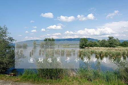 逾期信用卡分期申请书范本 逾期信用卡分期申请书范本