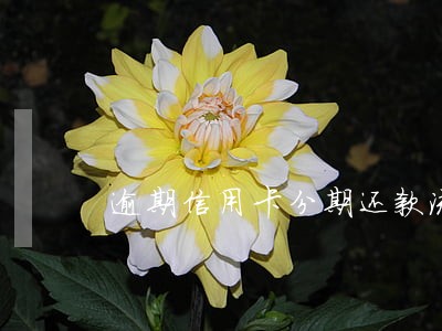 逾期信用卡分期还款流程 逾期信用卡分期还款流程