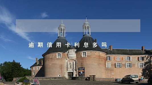 逾期信用卡利息多吗 逾期信用卡利息多吗
