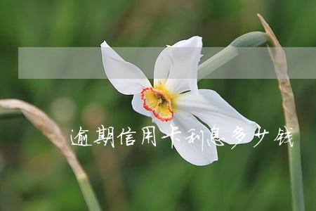 逾期信用卡利息多少钱 逾期信用卡利息多少钱