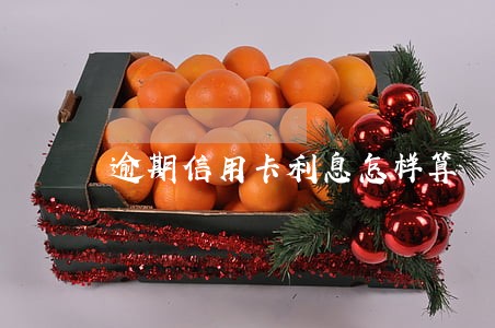 逾期信用卡利息怎样算 逾期信用卡利息怎样算