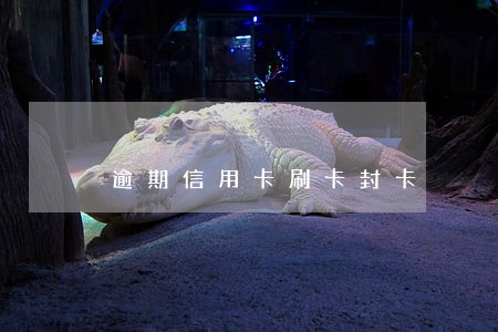 逾期信用卡刷卡封卡 逾期信用卡刷卡封卡