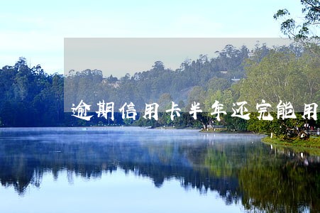 逾期信用卡半年还完能用吗