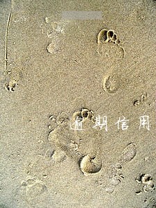 逾期信用卡去打疫苗怕被捉吗