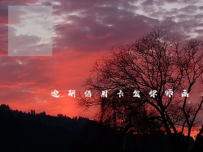 逾期信用卡发律师函