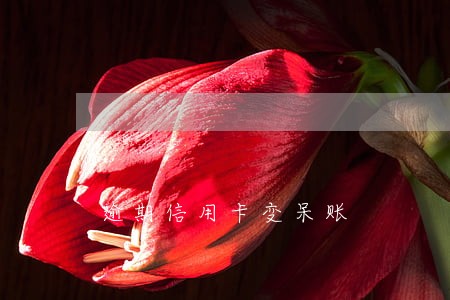 逾期信用卡变呆账 逾期信用卡变呆账