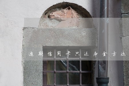 逾期信用卡只还本金方法 逾期信用卡只还本金方法