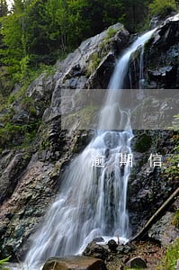 逾期信用卡叫传真身份证