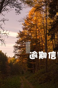 逾期信用卡可以办招商银行卡嘛