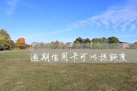 逾期信用卡可以提额度