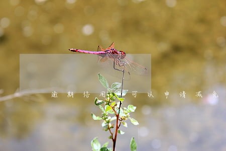 逾期信用卡可以申请减免吗 逾期信用卡可以申请减免吗