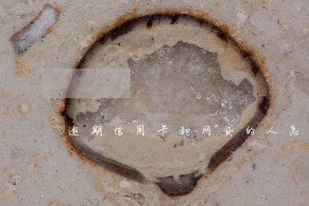 逾期信用卡和网贷的人怎么活着 逾期信用卡和网贷的人怎么活着