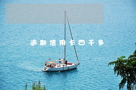 逾期信用卡四千多 逾期信用卡四千多