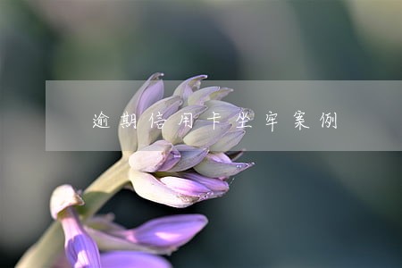 逾期信用卡坐牢案例 逾期信用卡坐牢案例