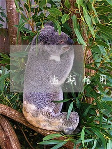 逾期信用卡多久会上征信 逾期信用卡多久会上征信
