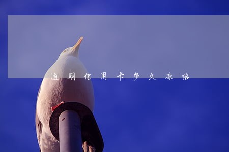 逾期信用卡多久冻结 逾期信用卡多久冻结