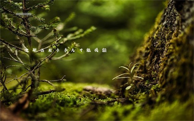 逾期信用卡多久才能提额 逾期信用卡多久才能提额