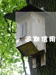 逾期信用卡多久能用 逾期信用卡多久能用