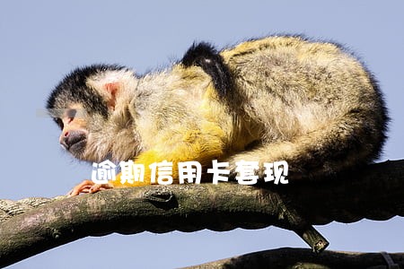 逾期信用卡套现