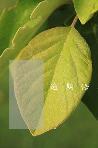 逾期信用卡好还是逾期小贷
