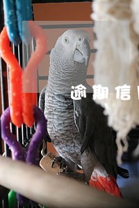 逾期信用卡如何挽回信用 逾期信用卡如何挽回信用