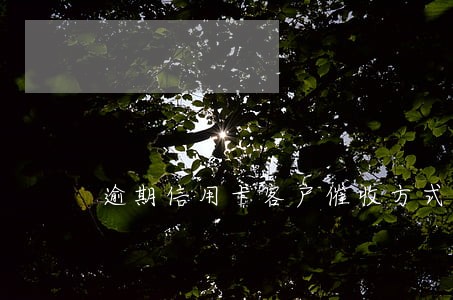 逾期信用卡客户催收方式有哪些 逾期信用卡客户催收方式有哪些