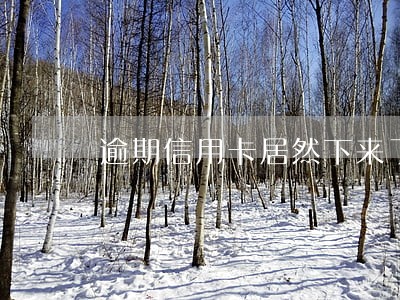 逾期信用卡居然下来了 逾期信用卡居然下来了
