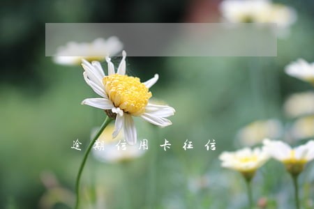 逾期信用卡征信 逾期信用卡征信