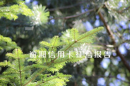 逾期信用卡征信报告 逾期信用卡征信报告