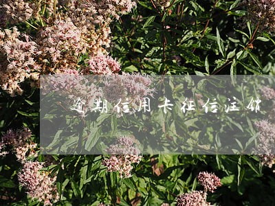 逾期信用卡征信注销 逾期信用卡征信注销