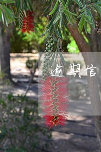 逾期信用卡怎么办理分期付款 逾期信用卡怎么办理分期付款