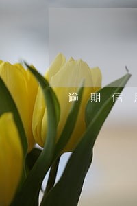 逾期信用卡怎么协商还款 逾期信用卡怎么协商还款