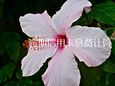 逾期信用卡息费计算 逾期信用卡息费计算