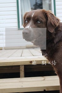 逾期信用卡找到新公司电话 逾期信用卡找到新公司电话