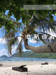 逾期信用卡挂失补办还能用吗 逾期信用卡挂失补办还能用吗