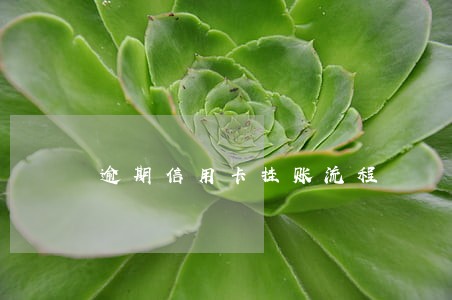 逾期信用卡挂账流程 逾期信用卡挂账流程